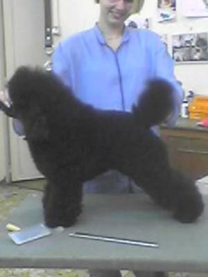 Ubac mon 2 eme chien